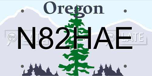 N82HAE Oregon License Plate