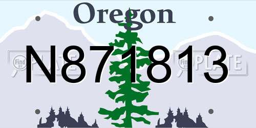 N871813 Oregon License Plate