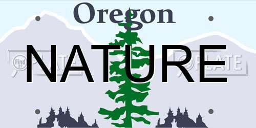 NATURE Oregon License Plate
