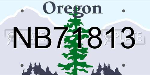 NB71813 Oregon License Plate