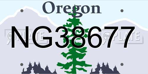 NG38677 Oregon License Plate