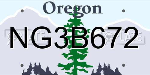 NG3B672 Oregon License Plate