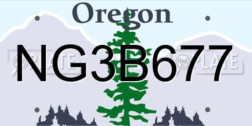 NG3B677 Oregon License Plate