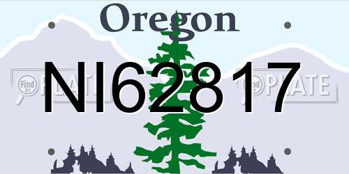 NI62817 Oregon License Plate