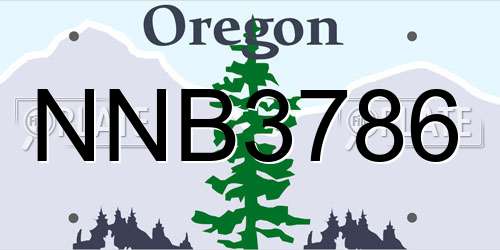 NNB3786 Oregon License Plate