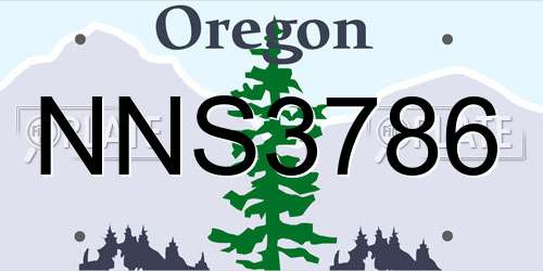 NNS3786 Oregon License Plate