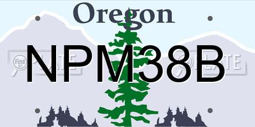 NPM38B Oregon License Plate