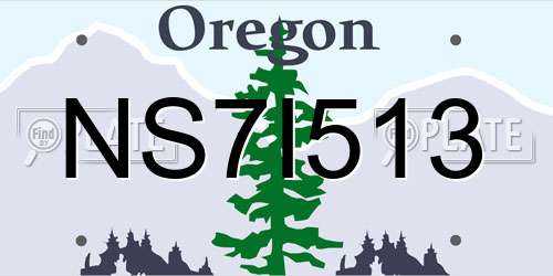 NS7I513 Oregon License Plate