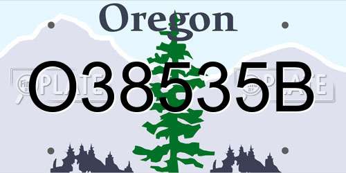 O38535B Oregon License Plate