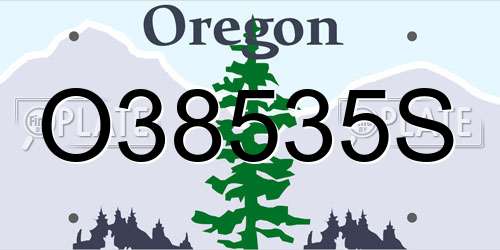 O38535S Oregon License Plate