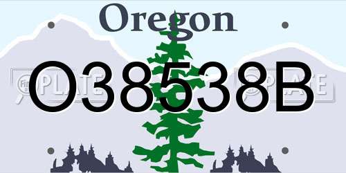 O38538B Oregon License Plate