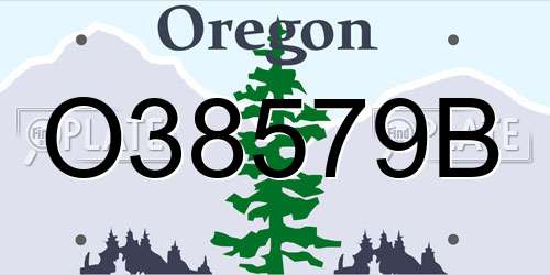 O38579B Oregon License Plate