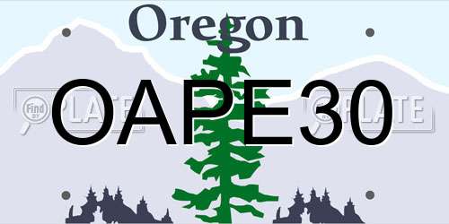 OAPE30 Oregon License Plate