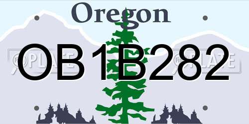 OB1B282 Oregon License Plate