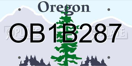 OB1B287 Oregon License Plate