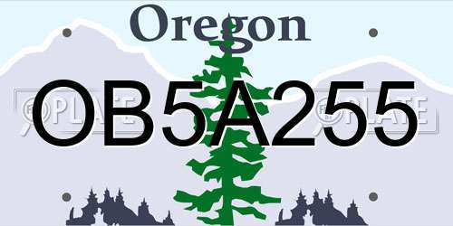 OB5A255 Oregon License Plate