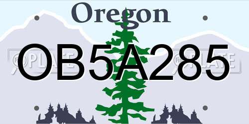 OB5A285 Oregon License Plate