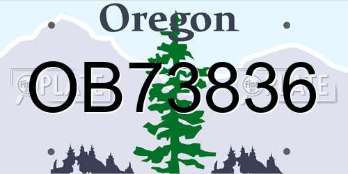 OB73836 Oregon License Plate