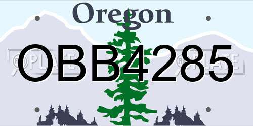OBB4285 Oregon License Plate