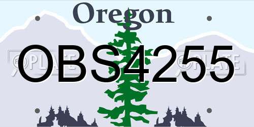 OBS4255 Oregon License Plate