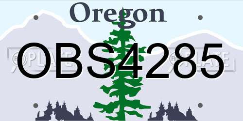OBS4285 Oregon License Plate