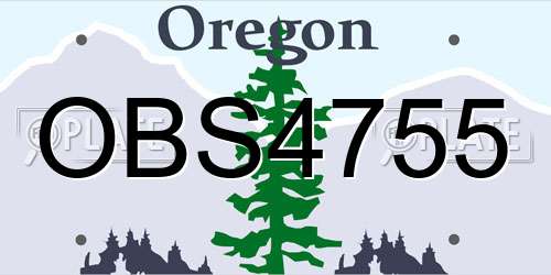 OBS4755 Oregon License Plate