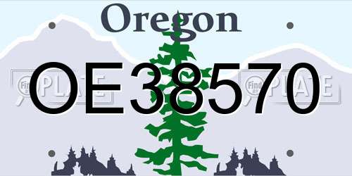 OE38570 Oregon License Plate