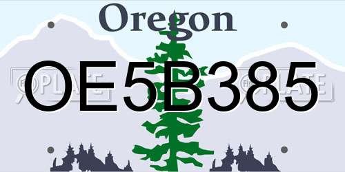 OE5B385 Oregon License Plate