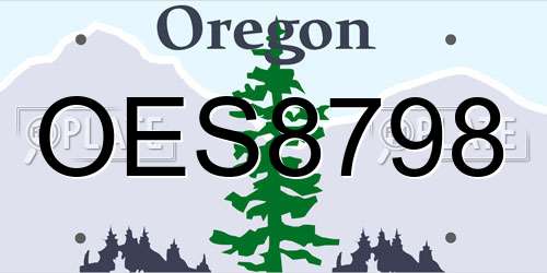 OES8798 Oregon License Plate