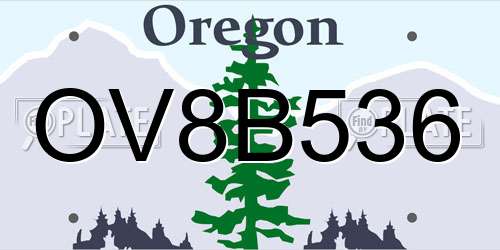 OV8B536 Oregon License Plate