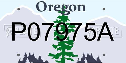 P07975A Oregon License Plate