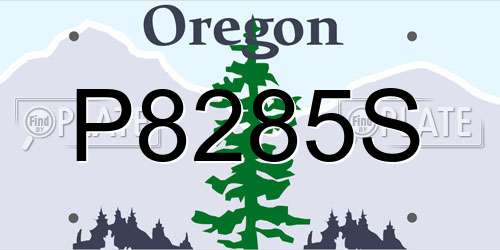 P8285S Oregon License Plate