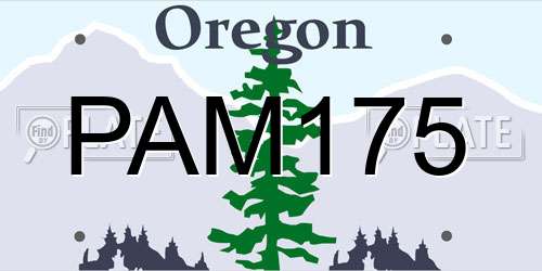 PAM175 Oregon License Plate