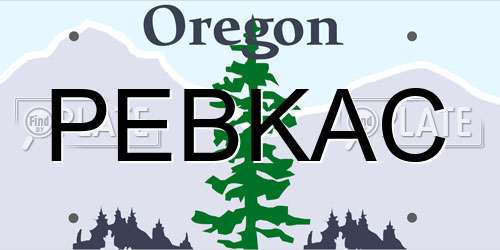PEBKAC Oregon License Plate