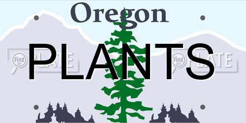 PLANTS Oregon License Plate