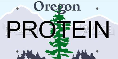 PROTEIN Oregon License Plate