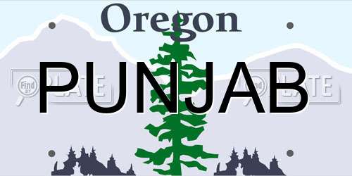 PUNJAB Oregon License Plate