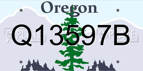 Q13597B Oregon License Plate