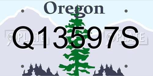Q13597S Oregon License Plate