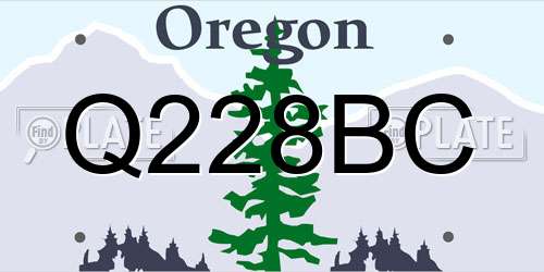 Q228BC Oregon License Plate