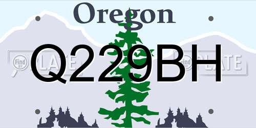 Q229BH Oregon License Plate
