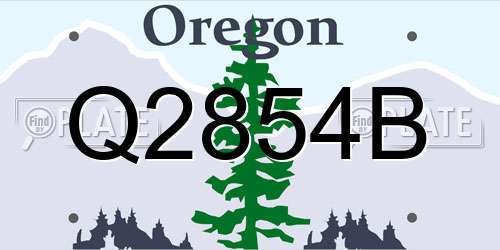 Q2854B Oregon License Plate