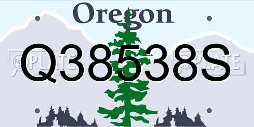Q38538S Oregon License Plate