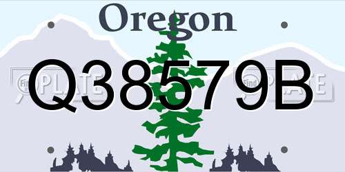 Q38579B Oregon License Plate