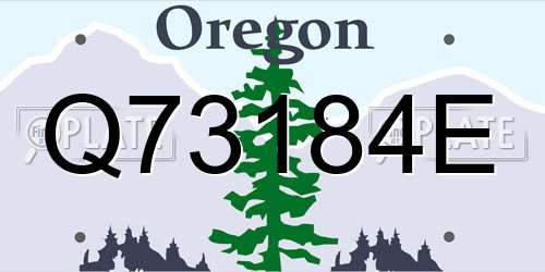 Q73184E Oregon License Plate