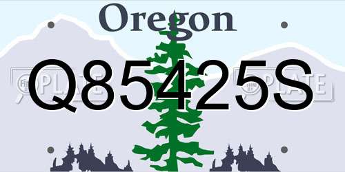Q85425S Oregon License Plate