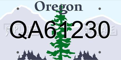 QA61230 Oregon License Plate