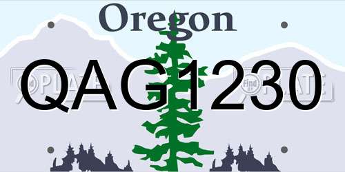 QAG1230 Oregon License Plate