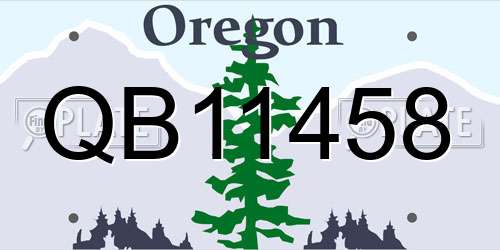 QB11458 Oregon License Plate