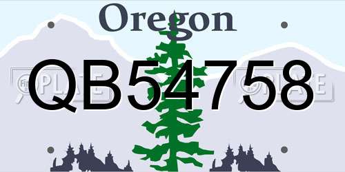QB54758 Oregon License Plate